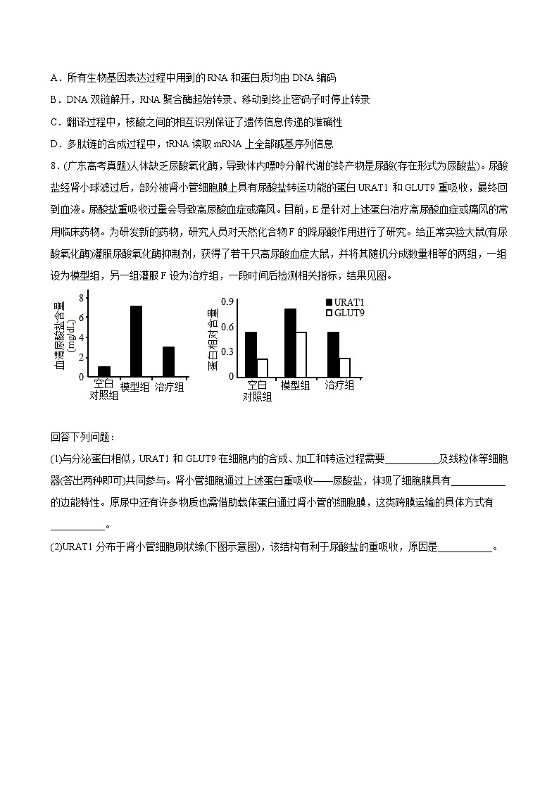 2021年高考生物真题与模拟题分类训练专题06遗传的分子基础(原卷版)第3页