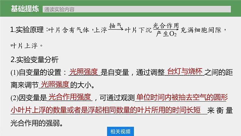(新高考)2023年高考生物一轮复习课件第3单元第7课时光合作用的影响因素及其应用(含解析)第5页