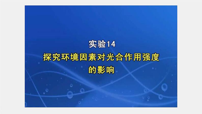(新高考)2023年高考生物一轮复习课件第3单元第7课时光合作用的影响因素及其应用(含解析)第6页