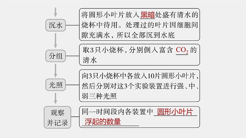 (新高考)2023年高考生物一轮复习课件第3单元第7课时光合作用的影响因素及其应用(含解析)第8页