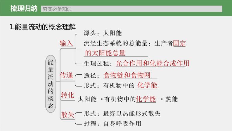 (新高考)2023年高考生物一轮复习课件第9单元第6课时生态系统的能量流动(含解析)03