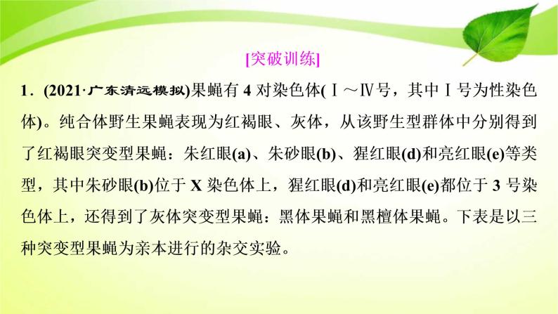 2022年高考生物复习：加强提升课件(六)基因位置的判定及相关实验设计突破(含解析)04