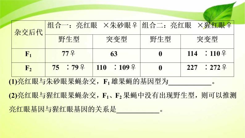 2022年高考生物复习：加强提升课件(六)基因位置的判定及相关实验设计突破(含解析)05