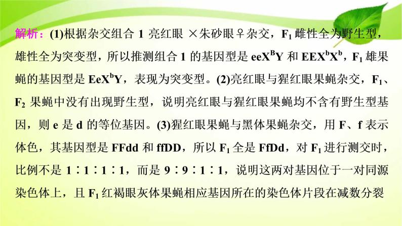 2022年高考生物复习：加强提升课件(六)基因位置的判定及相关实验设计突破(含解析)08