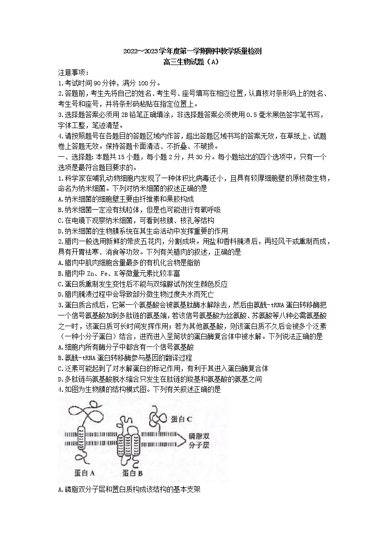 山东省济宁市邹城市2022-2023学年高三上学期期中生物试题(有答案)01