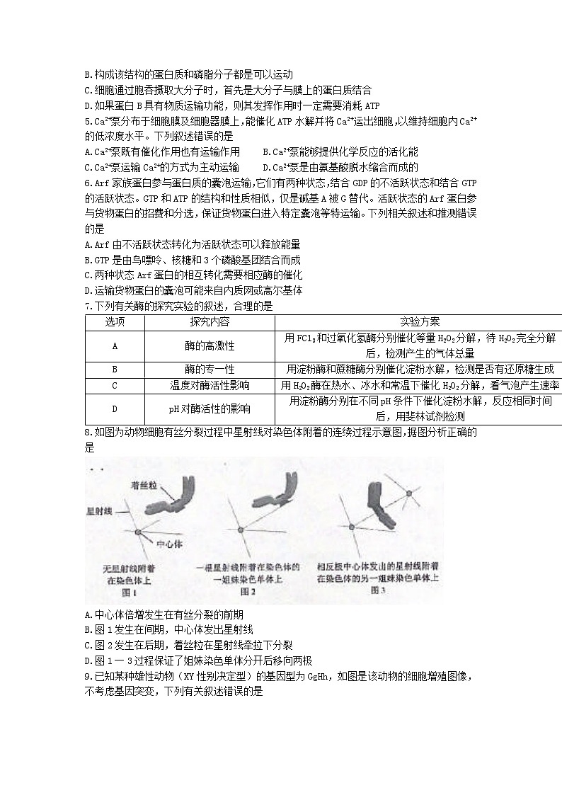 山东省济宁市邹城市2022-2023学年高三上学期期中生物试题(有答案)02