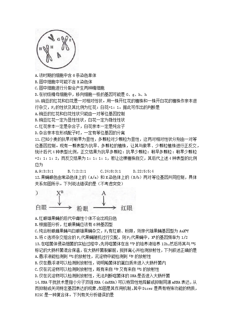 山东省济宁市邹城市2022-2023学年高三上学期期中生物试题(有答案)03