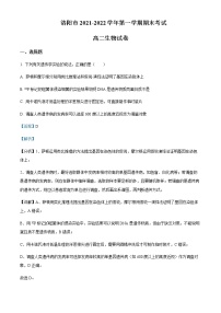 2021-2022学年河南省洛阳市高二上学期期末生物试题含解析