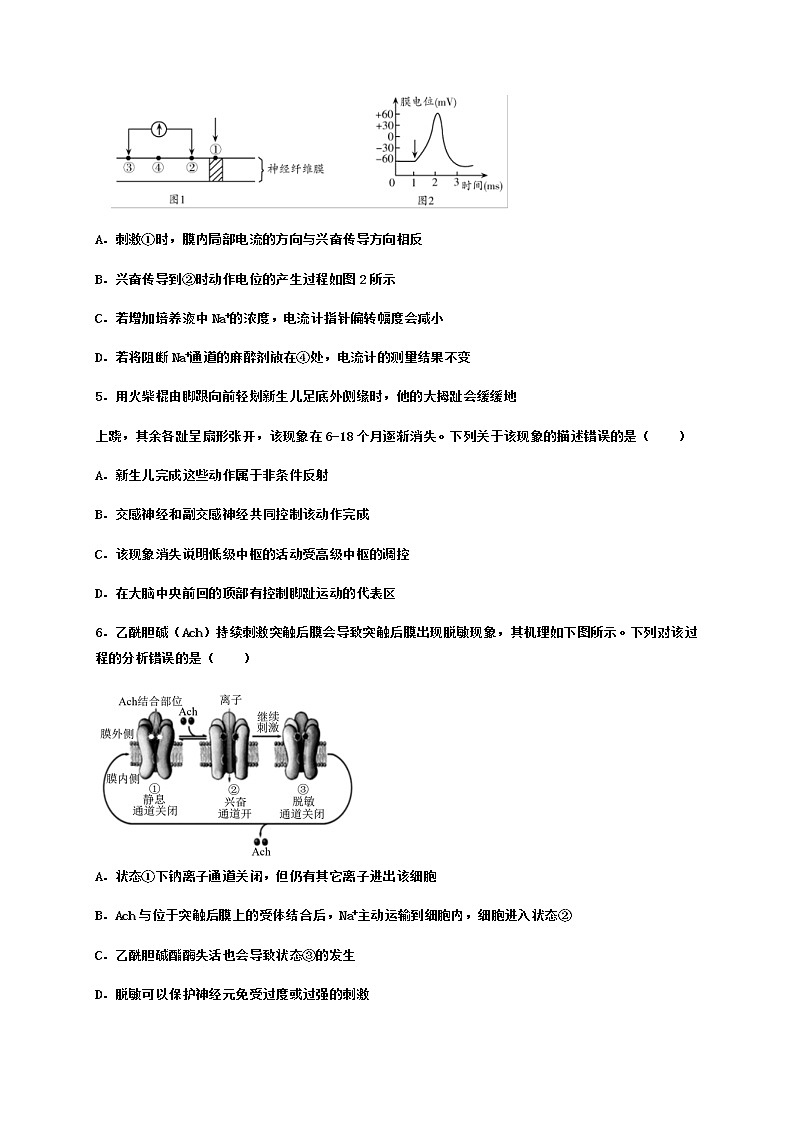 【期末备考练习】人教版(2019) 生物高二期末-期末考试备考练习1 (人教版(2019)选择性必修一 1-3章 )02