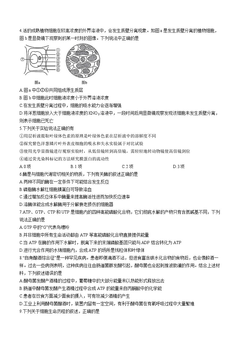 安徽皖北五校2022-2023学年高三上学期第一次联考生物试题02