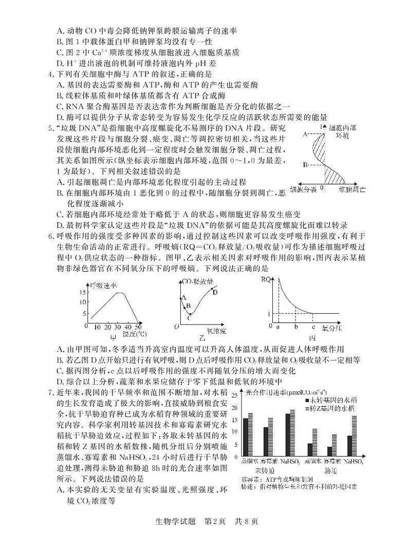 T8联考生物第2页