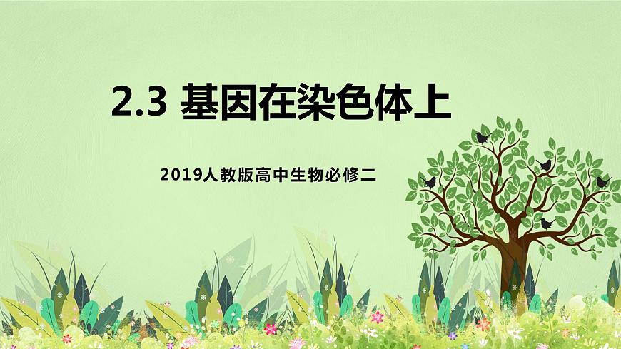 2019人教版高中生物必修二2.2《基因在染色體上》課件第1頁