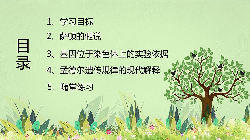 2019人教版高中生物必修二2.2《基因在染色體上》課件第2頁