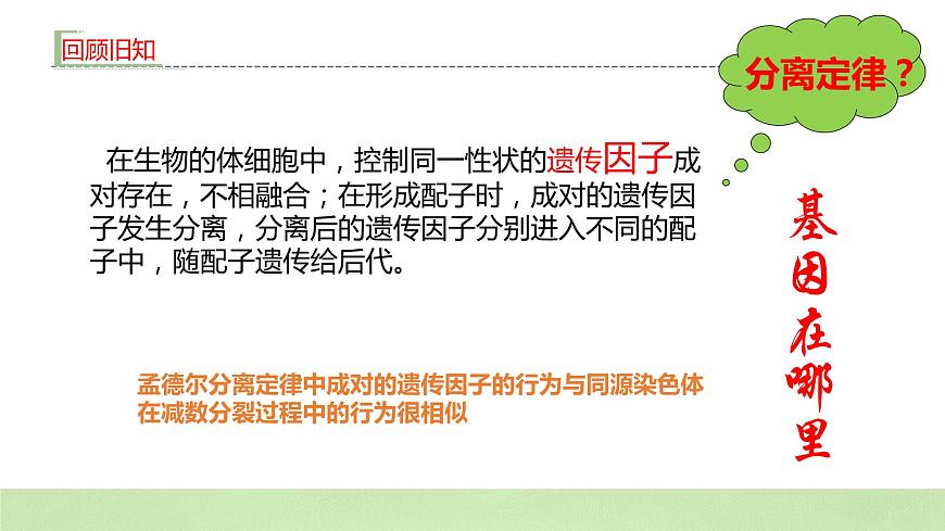 2019人教版高中生物必修二2.2《基因在染色體上》課件第3頁