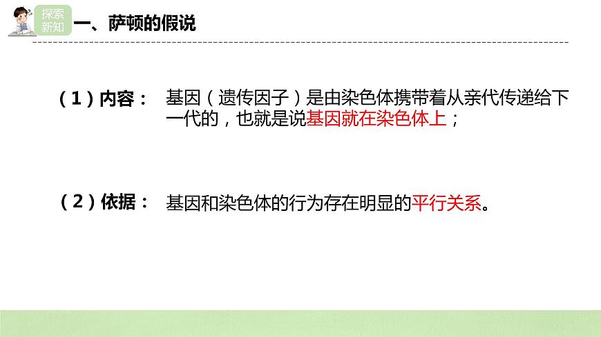2019人教版高中生物必修二2.2《基因在染色體上》課件第5頁