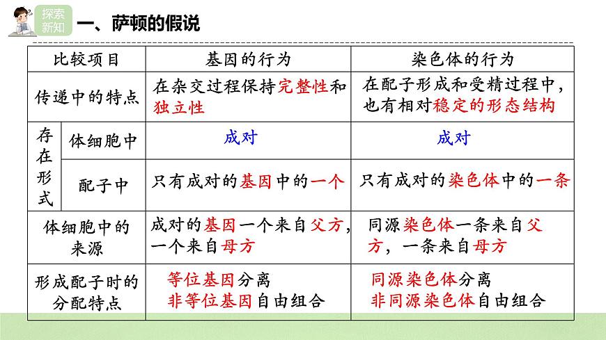 2019人教版高中生物必修二2.2《基因在染色體上》課件第6頁