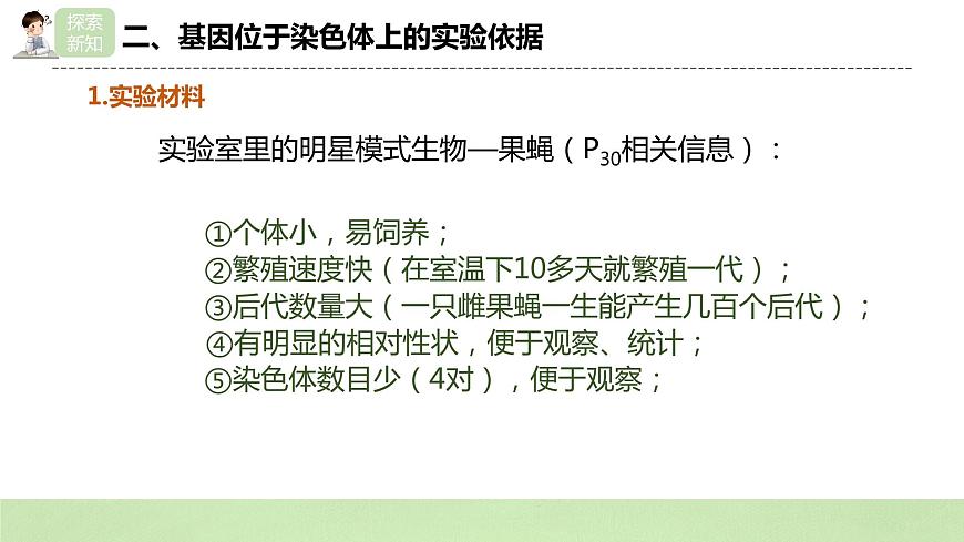 2019人教版高中生物必修二2.2《基因在染色體上》課件第8頁