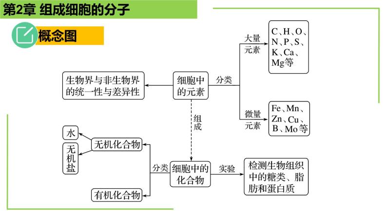 【期末精讲课件】人教版(2019) 生物必修1高一备考复习课件-第2章 组成细胞的分子02