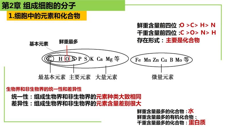 【期末精讲课件】人教版(2019) 生物必修1高一备考复习课件-第2章 组成细胞的分子03