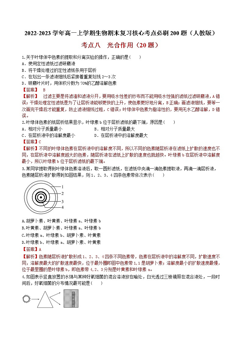 【期末考点复习】人教版(2019)生物必修1 高一上学期期末备考-考点08 光合作用(解析版)第1页