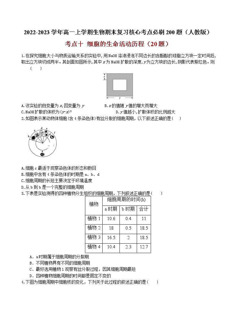 【期末考点复习】人教版(2019)生物必修1 高一上学期期末备考-考点10 细胞的生命活动历程(原卷版)第1页
