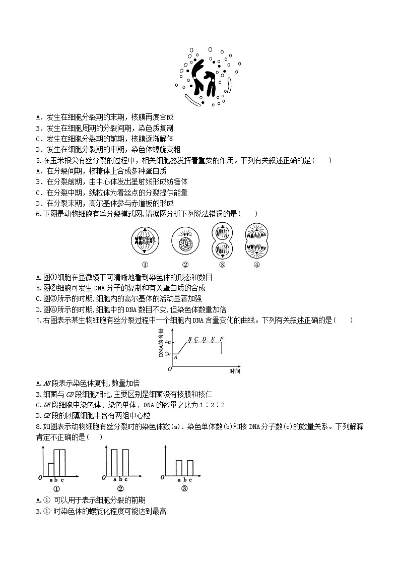 【期末考点复习】人教版(2019)生物必修1 高一上学期期末备考-考点10 细胞的生命活动历程(原卷版)第2页