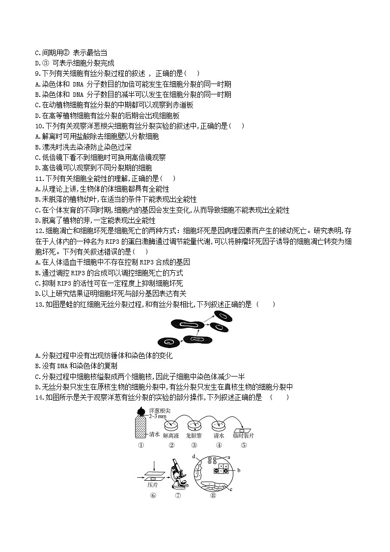 【期末考点复习】人教版(2019)生物必修1 高一上学期期末备考-考点10 细胞的生命活动历程(原卷版)第3页