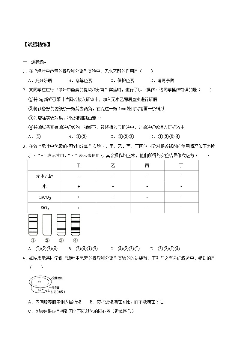 【期末考点精练】人教版(2019)高一必修1-期末专攻4 光合作用(考点识记+试题精练)(学生版)第2页