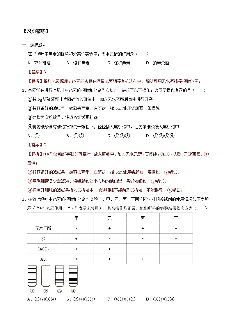 【期末考点精练】人教版(2019)高一必修1-期末专攻4 光合作用(考点识记+试题精练)(教师版)第2页