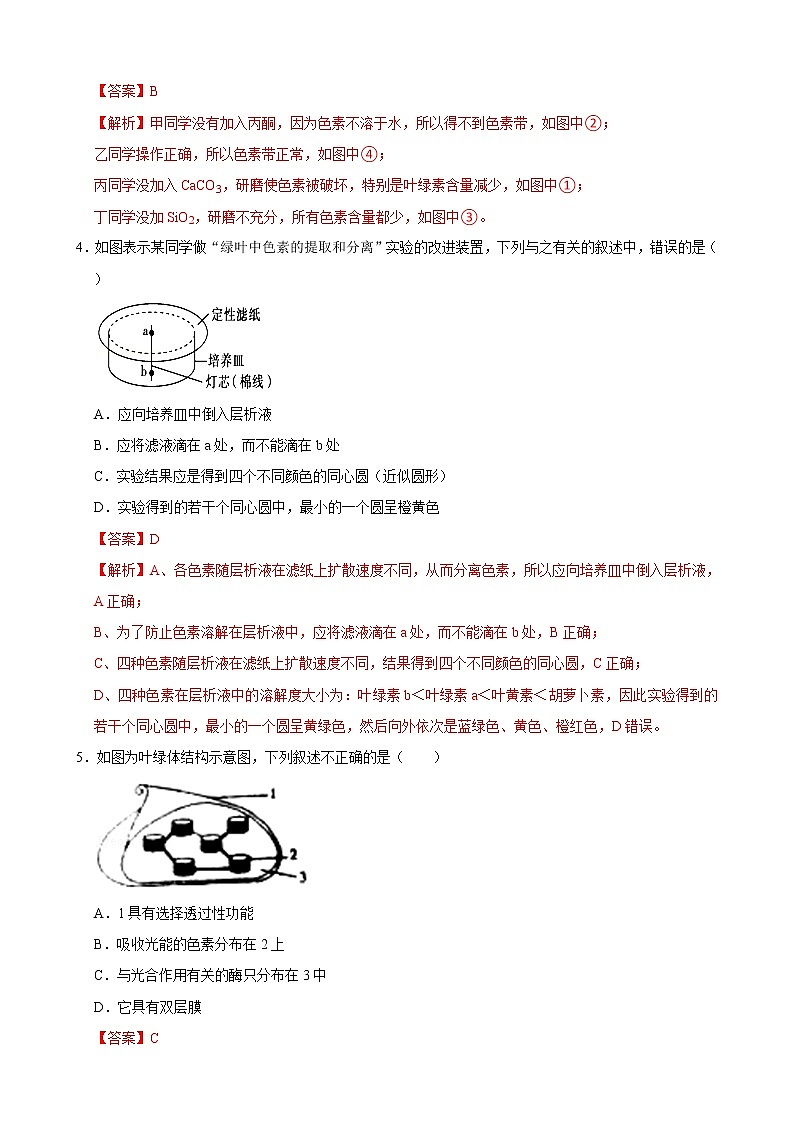 【期末考点精练】人教版(2019)高一必修1-期末专攻4 光合作用(考点识记+试题精练)(教师版)第3页