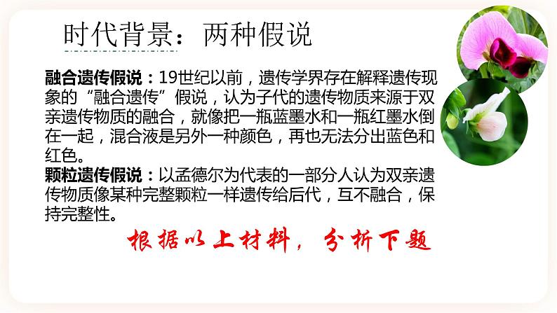 1.1 孟德尔的豌豆杂交实验(一)课件03