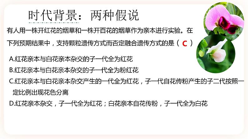 1.1 孟德尔的豌豆杂交实验(一)课件04