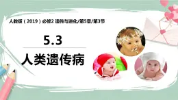 5.3 人类遗传病  课件