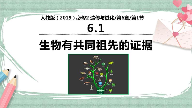 6.1 生物有共同祖先的证据 课件第1页