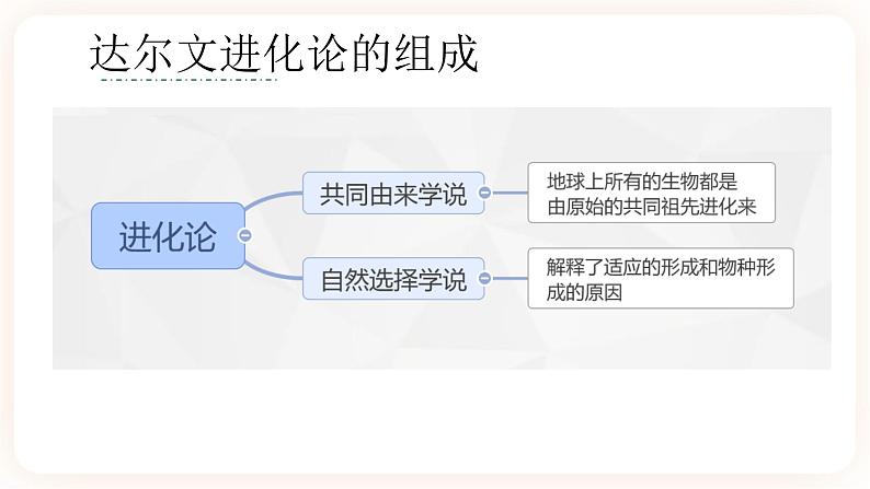 6.1 生物有共同祖先的证据 课件第4页