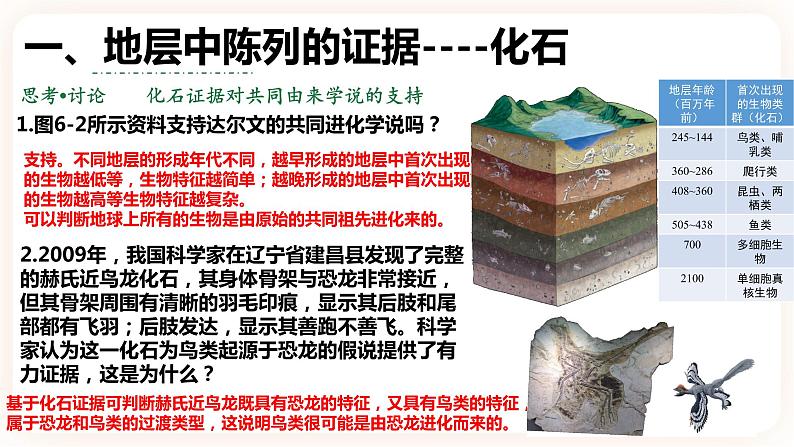 6.1 生物有共同祖先的证据 课件第7页