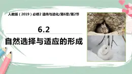 6.2 自然选择与适应的形成 课件