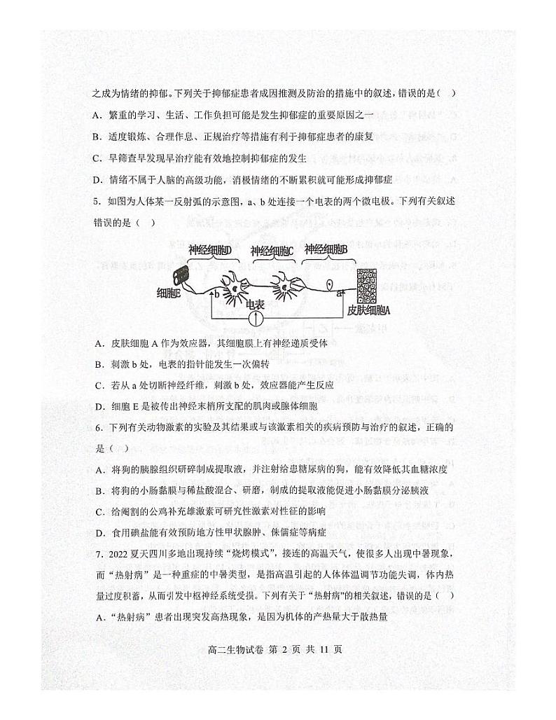 辽宁省滨城高中联盟+2022-2023+学年高二上学期期中生物试题第2页