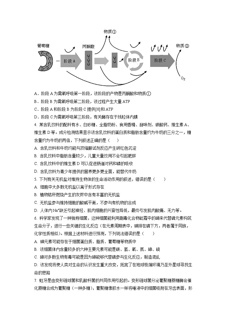 山东省枣庄滕州第一中学2022-2023学年高一上学期期中(线上)考试生物试题第2页