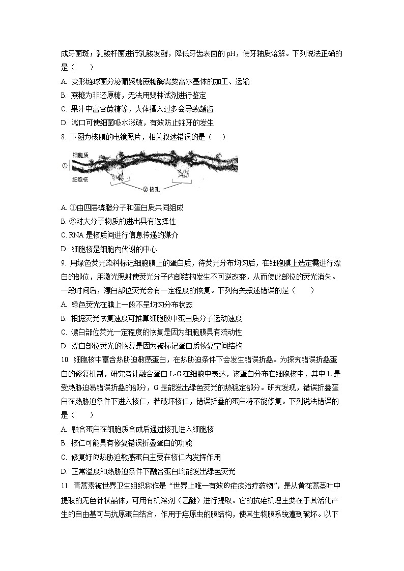 山东省枣庄滕州第一中学2022-2023学年高一上学期期中(线上)考试生物试题第3页