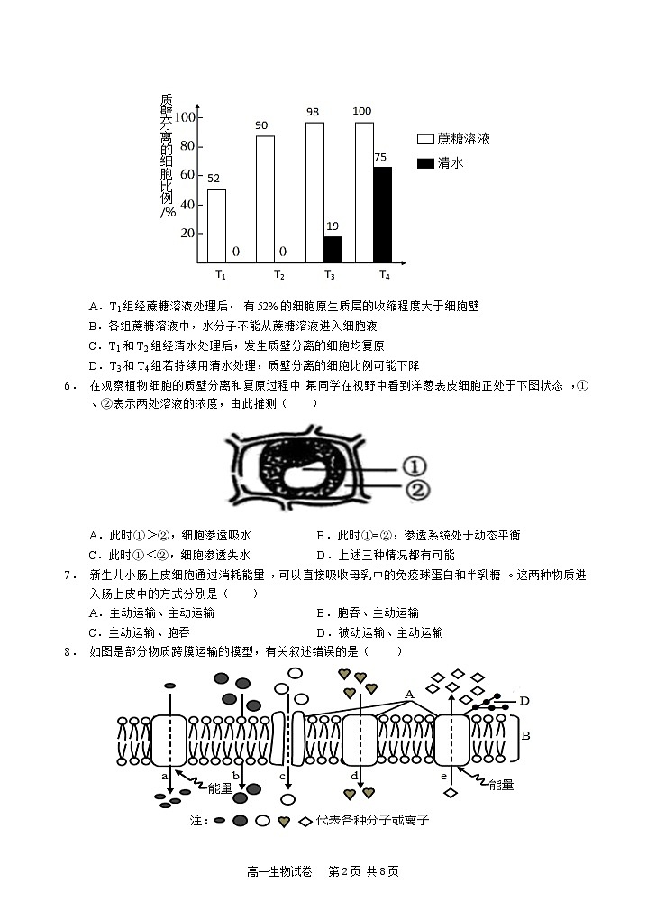 高一生物试卷word第2页