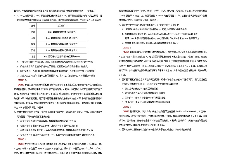 (新高考)高考考前冲刺卷生物(十)(解析版)第2页