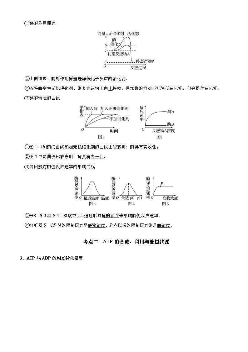 (新高考)高考生物二轮精品专题三细胞的能量供应和利用(原卷版)第2页