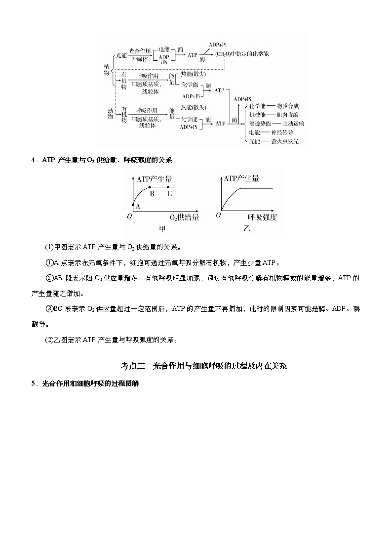 (新高考)高考生物二轮精品专题三细胞的能量供应和利用(原卷版)第3页