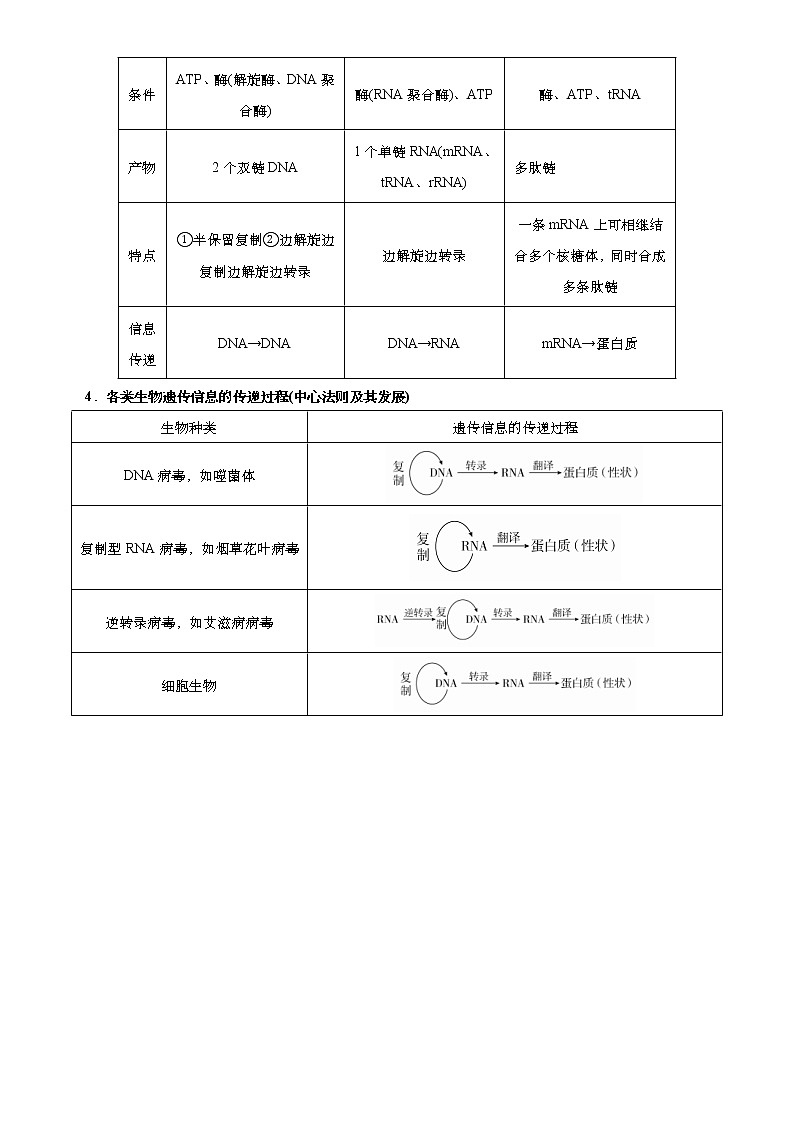 (新高考)高考生物二轮精品专题五遗传分子的基础(解析版)第3页