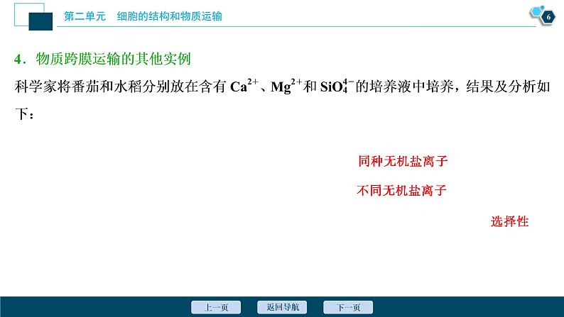 (新高考)高考生物一轮复习讲义课件第6讲细胞的物质输入和输出 (含解析)第7页