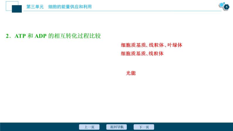 (新高考)高考生物一轮复习讲义课件第8讲ATP及其主要来源——细胞呼吸 (含解析)06