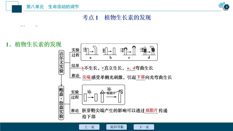 (新高考)高考生物一轮复习讲义课件第27讲植物的激素调节 (含解析)第4页