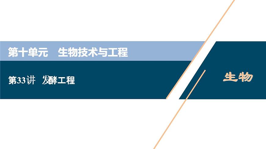 (新高考)高考生物一輪復(fù)習(xí)講義課件第33講發(fā)酵工程 (含解析)第1頁(yè)