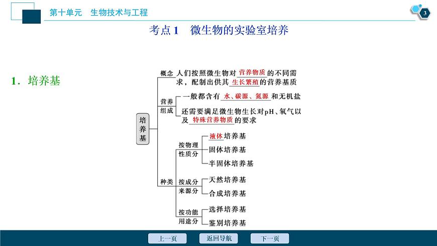 (新高考)高考生物一輪復(fù)習(xí)講義課件第33講發(fā)酵工程 (含解析)第4頁(yè)